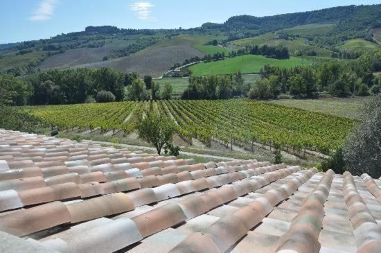 Vakantieboerderij Cioccoleta Orvieto